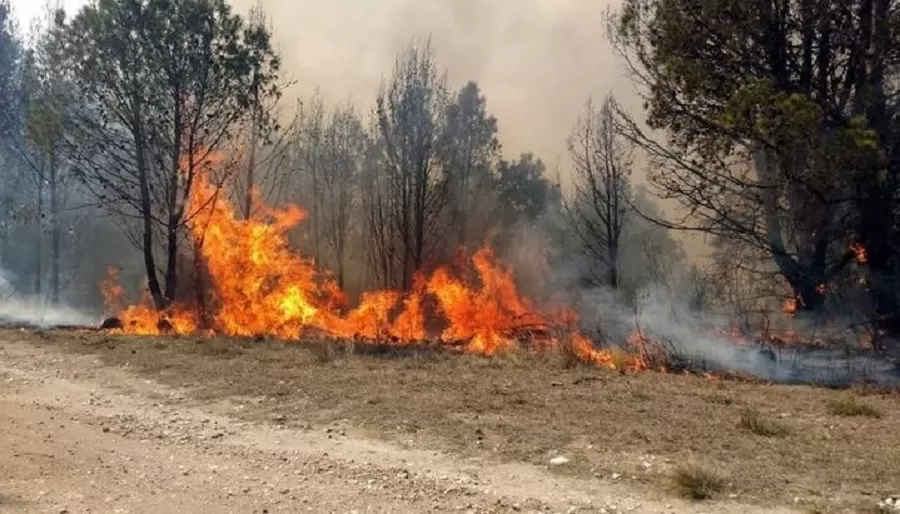 Incendio en el Norte de Salta. 