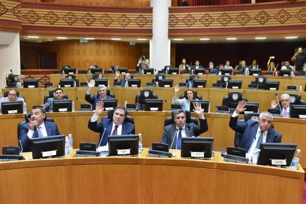 Tras talar 12 árboles, en la Legislatura aprobaron la adhesión a la Ley de Inversiones Forestales