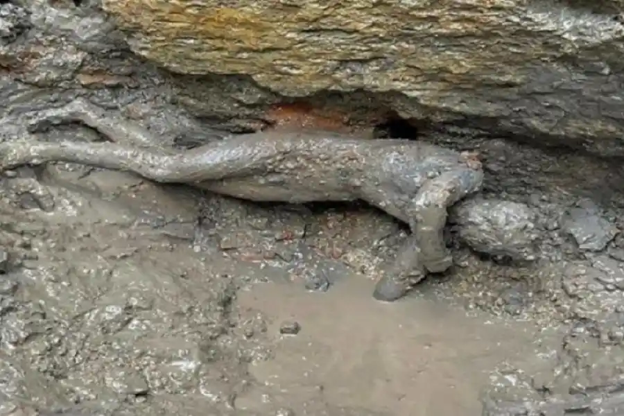 Las piezas se encontraron en las piscinas sagradas del santuario etrusco-romano de la localidad de San Casciano dei Bagni, ubicada en la Toscana italiana. Foto: EFE