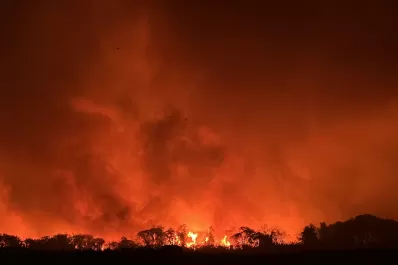 Tras dos meses de incendios, el gobernador de Salta fue a la zona de desastre ecológico