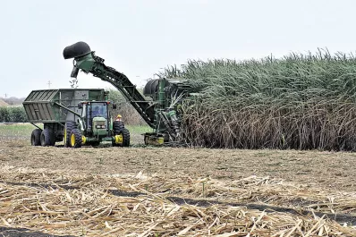El Ipaat presentó una nueva herramienta que agiliza la información
