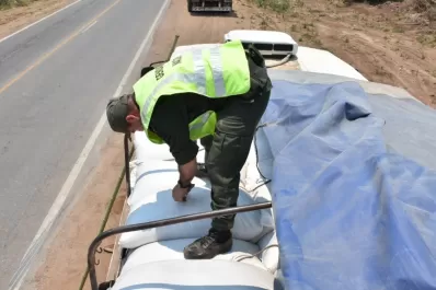 Secuestraron más de 300 toneladas de granos que eran transportados ilegalmente