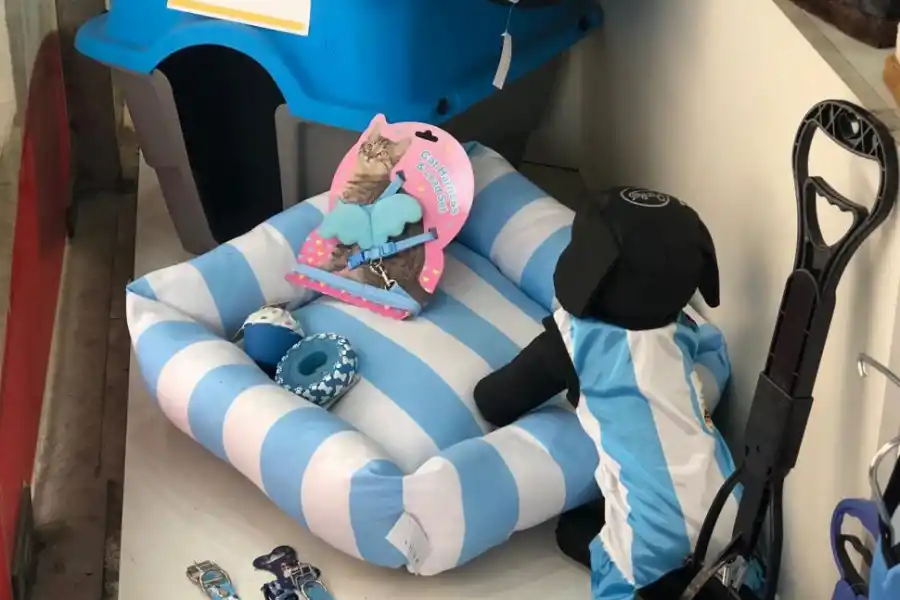 PARA DORMIR. En “Estilo Canino”, se consiguen cuchas, en varios tamaños. 