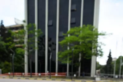 Malestar por la poda de árboles en la Legislatura: “No queda más que la indignación”