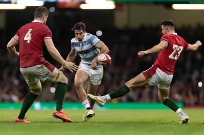 Los Pumas no pudieron ante Gales: cayeron 20 a 13