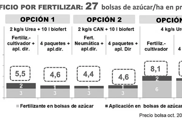 Aun con el alto precio del fertilizante, su aplicación sobre caña soca resulta rentable