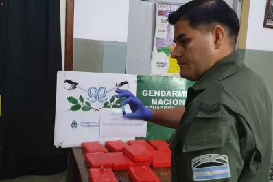 Ocultaban más de 15 kilos de cocaína en dos mochilas