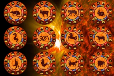 Horóscopo chino: qué signos tendrán buena suerte en la segunda quincena de noviembre
