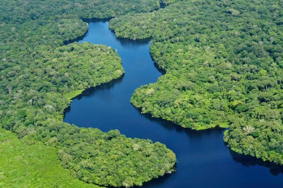 Rescate de la selva tropical: plan de Brasil, Congo e Indonesia
