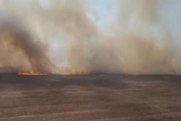 Combaten un incendio forestal al norte de Garmendia