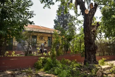 Podaron árboles del Liceo Militar Aráoz de La Madrid
