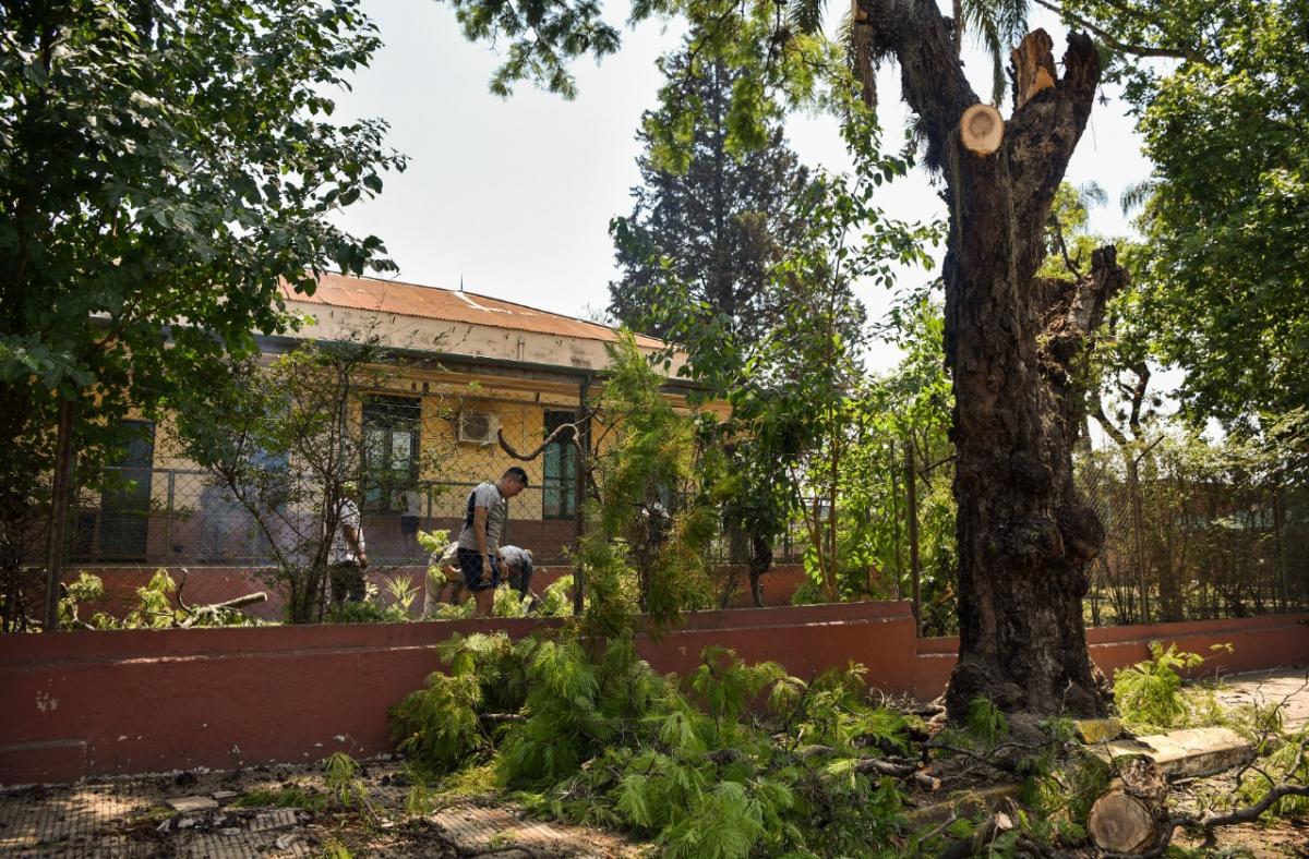 Podaron árboles del Liceo Militar Aráoz de La Madrid