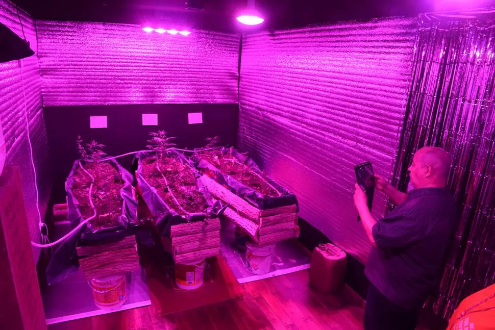 MENCIÓN ESPECIAL. Virginia Buitrón trabajó con cáscaras de naranja para su instalación “Mañana será igual de diferente”. 