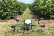 Ensayo para evaluar el uso del dron en cítricos
