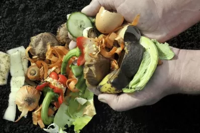 No desperdicies las sobras de tu comida: cinco ideas simples para reciclar y ahorrar