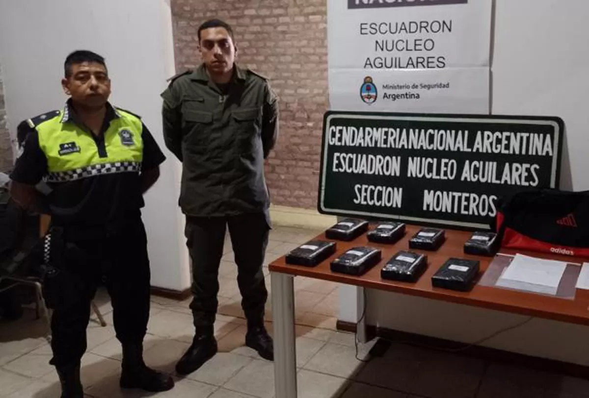 Trasladaban 8,5 kilos de cocaína en un colectivo que iba a Catamarca