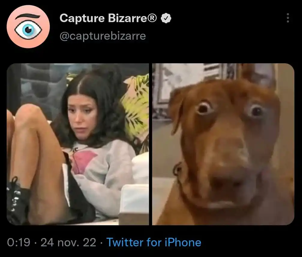 Los memes de la nominación de Juliana en Gran Hermano