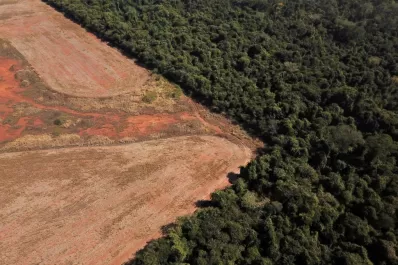 EE.UU. quiere sancionar a deforestadores de Brasil para combatir el cambio climático