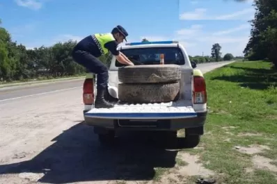 Recuperan dos ruedas robadas y valuadas en $200.000
