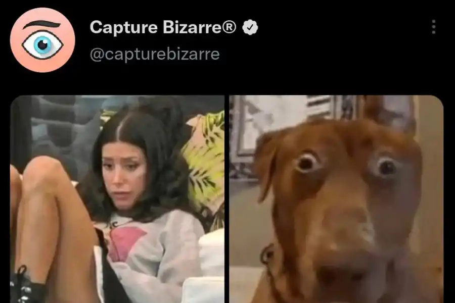 Los memes de la nominación de Juliana en Gran Hermano