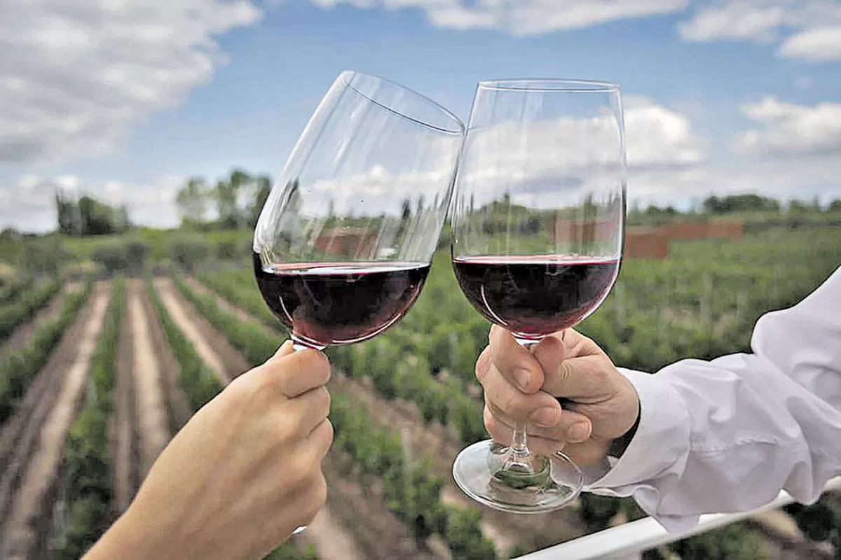 Día del Vino Argentino: el consumo de Malbec crece en el mundo