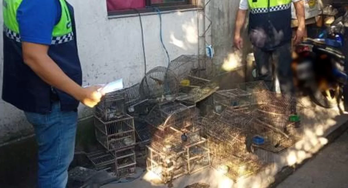 Tafí Viejo: rescataron más de 20 aves que estaban en cautiverio