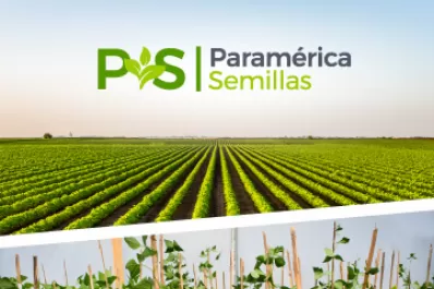 Beneficios de contar con un invernadero de alta tecnología