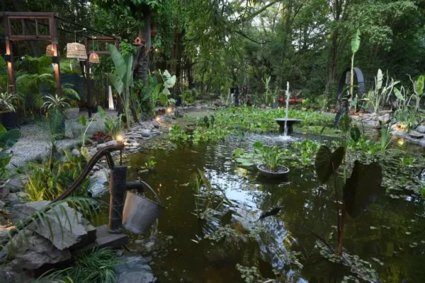 Walks of Design: una gala de belleza, armonía, fuerza y color