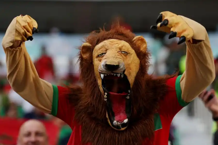 RUGIÓ FUERTE. El león marroquí se fue feliz con el triunfo.