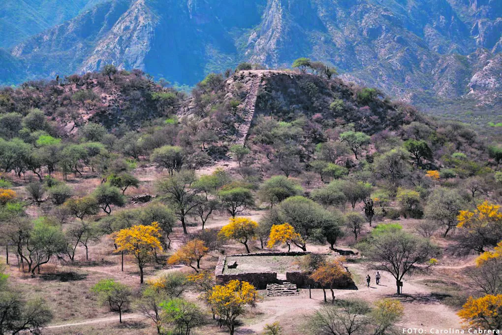 Seis lugares para conocer Catamarca y no desaprovechar nada