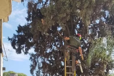 Realizan talas preventivas, en Tucumán