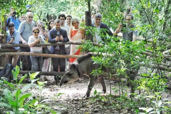 Momento histórico en el Proyecto Tapir