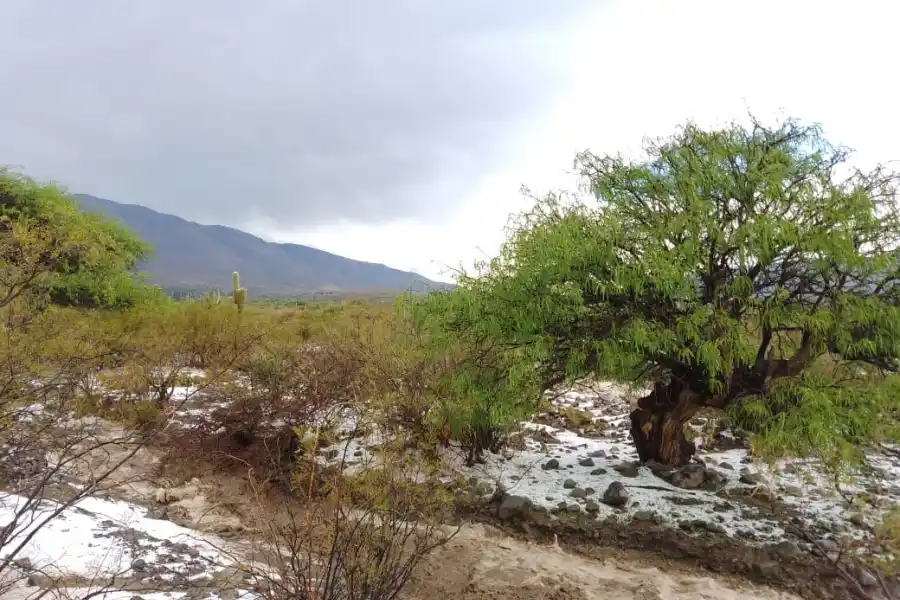 Una tremenda granizada sorprendió a Amaicha del Valle