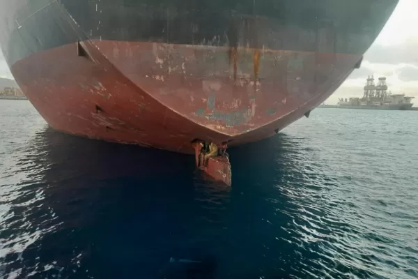 Polizones: viajaron 11 días subidos al timón de un barco