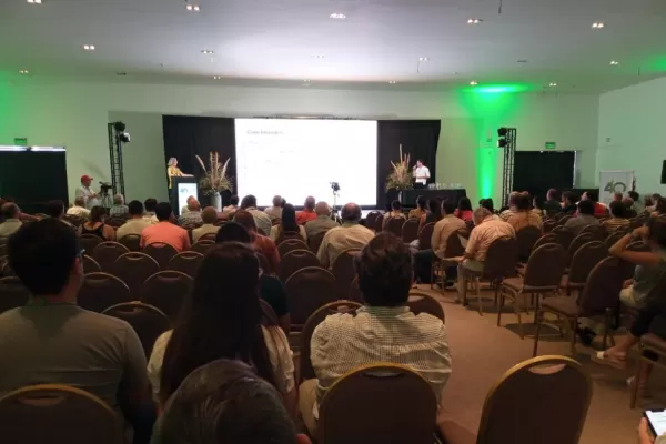 Técnicos en caña: la bioenergía, eje temático