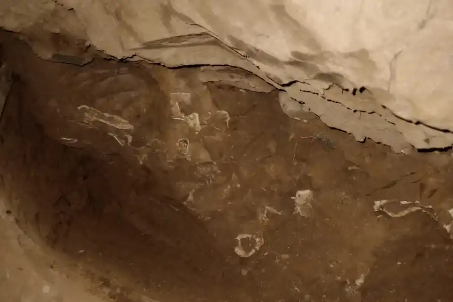 Imagenes de los restos hallados