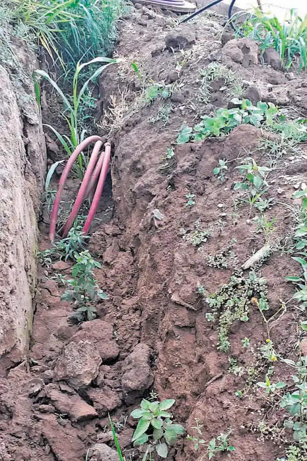 LA ZANJA PARA LOS CABLES. Allí se encontraron restos. 