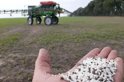 Pese a su costo, la fertilización no se negocia