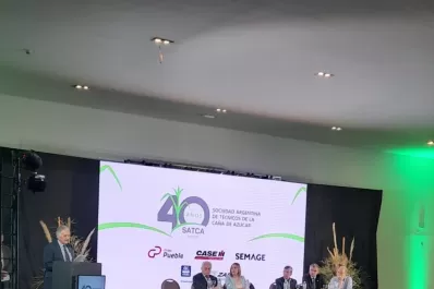 “La caña puede combatir el calentamiento global”