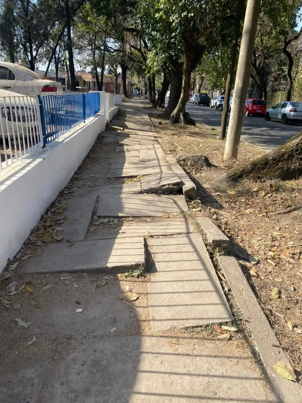 TRAS LOS MUROS. El edificio histórico de la escuela primaria Miguel Lillo no puede apreciarse bien desde la calle.