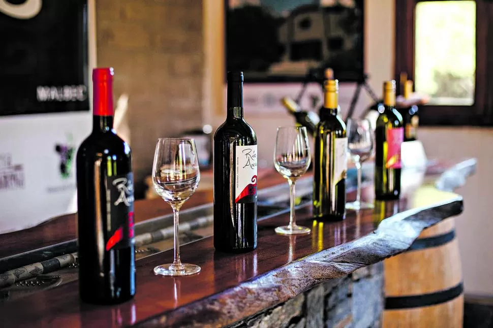 MEDALLA DE ORO. Vinos de seis bodegas de Tucumán lograron premios en el concurso internacional “VinoSub30 Argentina 2022”, que se hizo en Mendoza.  