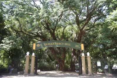 El parque Percy Hill, más joven que nunca: Días y horarios