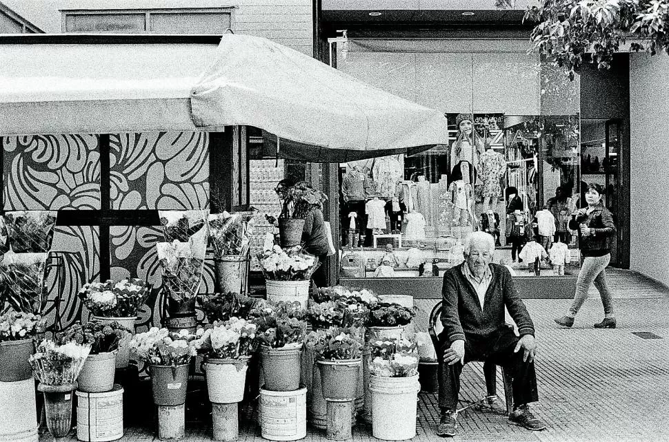 HABITANTE DEL CENTRO. Un florista espera clientes y lo retrata Gonzalo Andretta. 