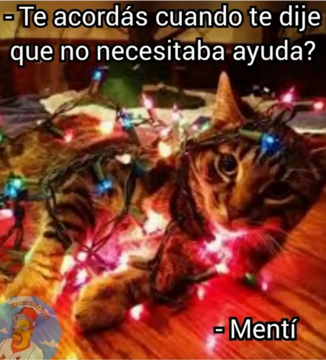 Navidad: mirá los mejores memes sobre el armado del arbolito navideño