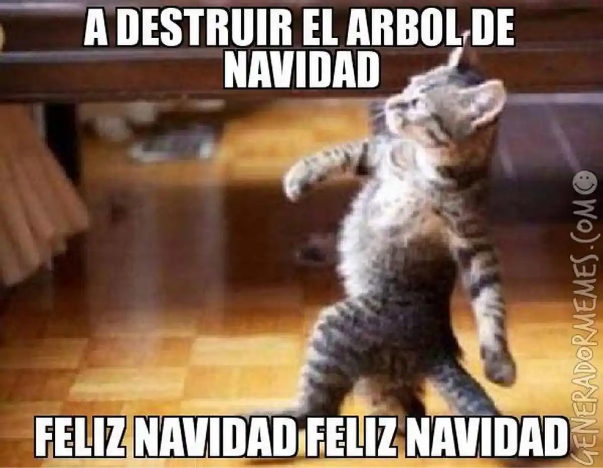 Navidad: mirá los mejores memes sobre el armado del arbolito navideño