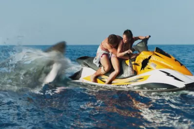 El eterno retorno de la historia del tiburón asesino