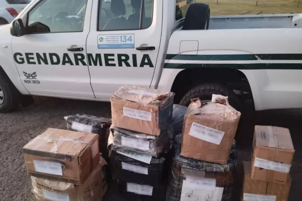 En Santa Fe secuestraron 245 kilos de hojas de coca que iban en transportes de carga