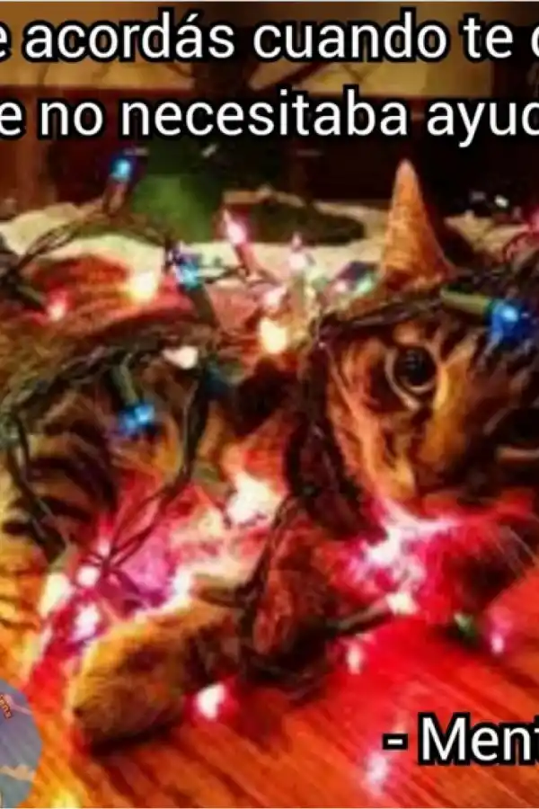 Navidad: mirá los mejores memes sobre el armado del arbolito navideño