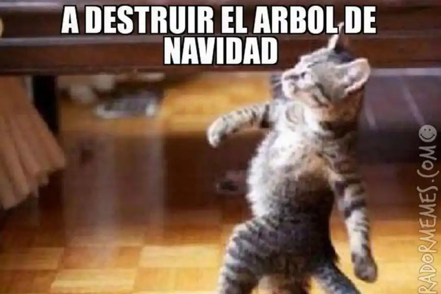 Navidad: mirá los mejores memes sobre el armado del arbolito navideño