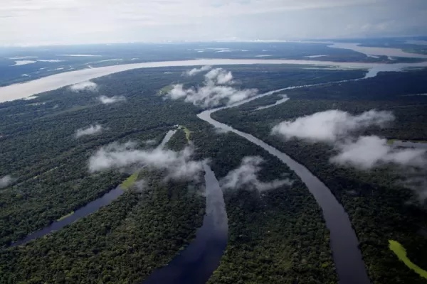 Brasil puede perder Amazonia a manos del crimen organizado